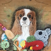 Dougie