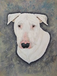 Norbert