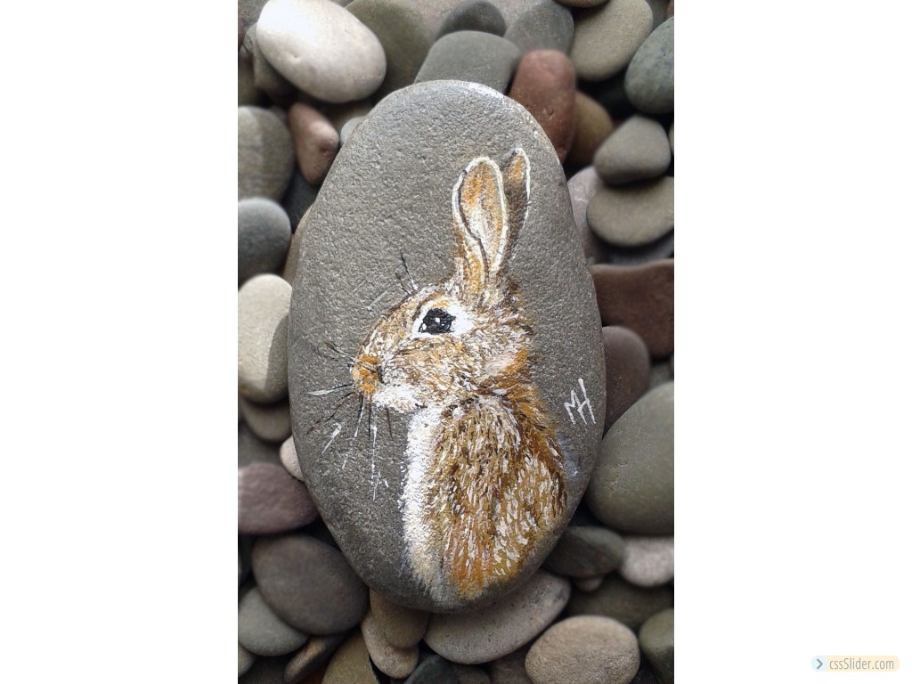 Brown Hare On Pebble