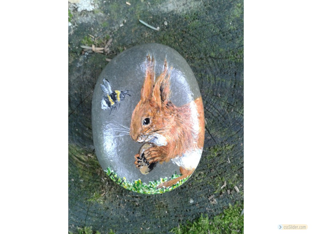 Squirrel On Pebble